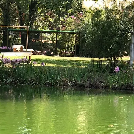 - Casas Dos Infantes 公寓 卡尔达斯达·赖尼亚